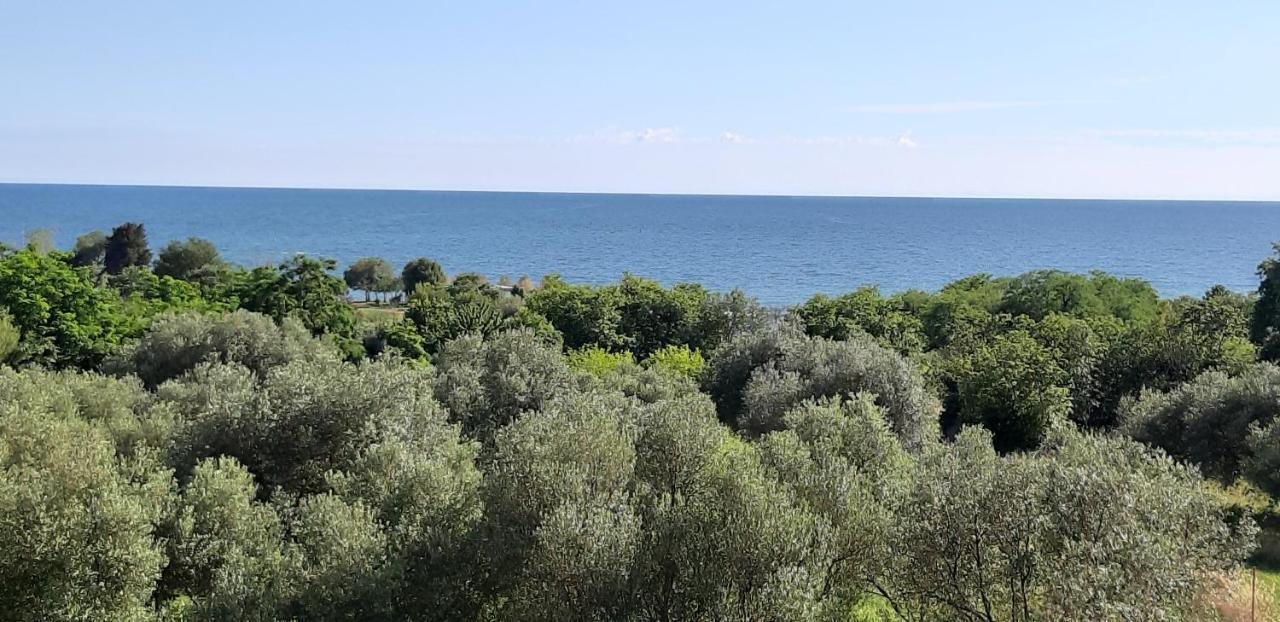 Apartment Istria Zambratija  Buitenkant foto